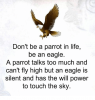 dont-be-a-parrot-in-life-be-an-eagle-a-20422440.png