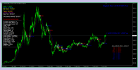 Indicator Nano Alligator ( Photo 3 )..png