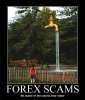 Forex Scams.jpg