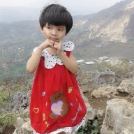 dedisusanto