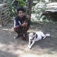 kacung