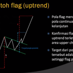 FLAG UPTREND