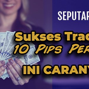 Sukses 10 Pips Per Hari Ala Hoosain Harneker