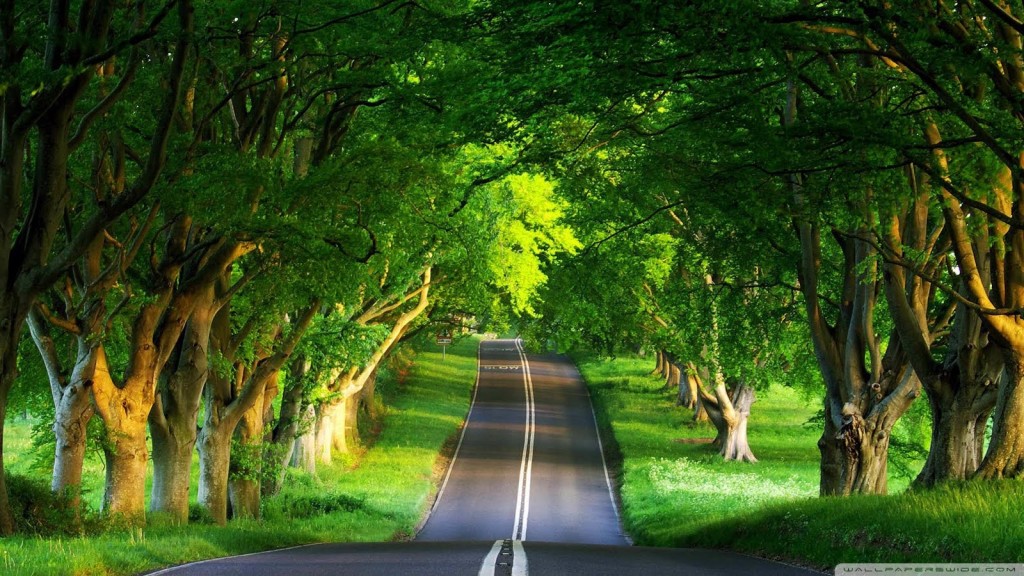 Best-Nature-Wallpapers-HD-1024x576