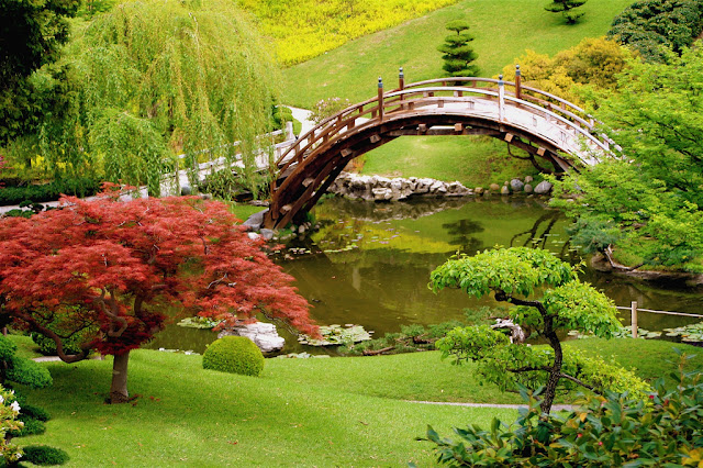 Wonderful-Desktop-Most-Beautiful-Green-Nature-Wallappers