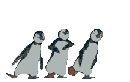 :trio penguin: